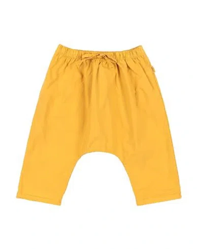 Teddy & Minou Newborn Boy Pants Marigold Size 3 Cotton, Elastane In Yellow