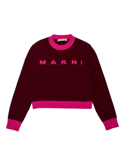 Marni L And Cashmere Sweater With Logo Kids In Brown
