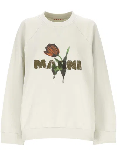 Marni Sweaters In Multi