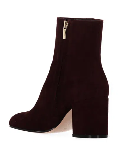 Gianvito Rossi Zippered Short Boots In Burgundy