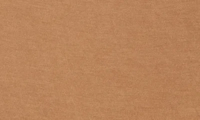 Renee C Boat Neck Knit Top In Brown