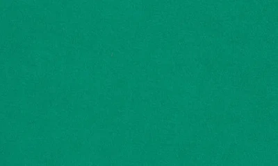 Renee C Brushed Knit Long Sleeve Top In Green