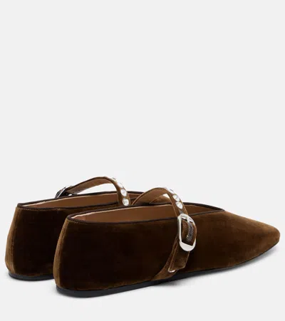 Le Monde Beryl Le Monde Béryl Stella Velvet Ballet Flats In Brown