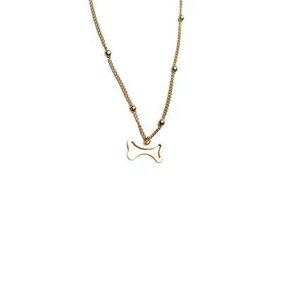 Iskra Women's Gold Bone Necklace In Gold