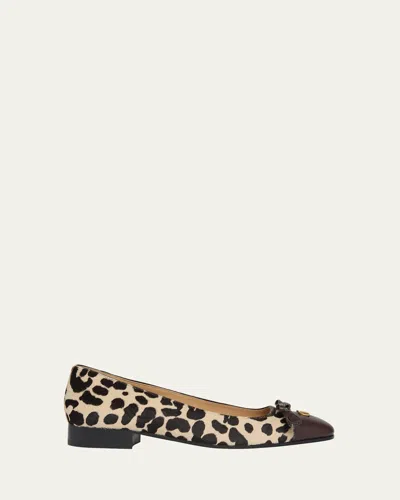 Valentino Garavani Ballerina Leather-trimmed Leopard-print Calf Hair Flats In Multi