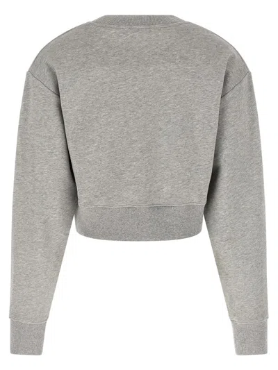 Balmain Paris Sweatshirt Gray In Gray