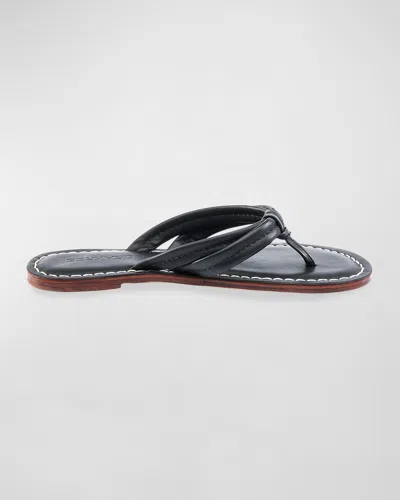 Bernardo Footwear Miami Thong Sandal In Black