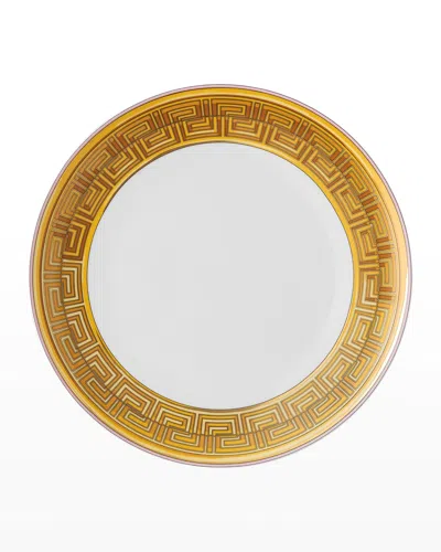 Versace Medusa Amplified Pink Coin Dinner Plate In Brown