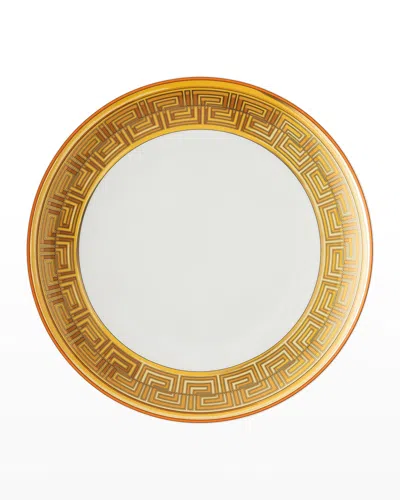 Versace Medusa Amplified Orange Coin Dinner Plate