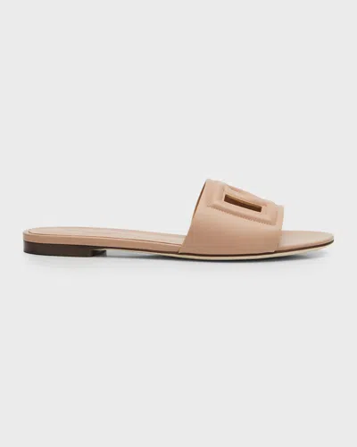 Dolce & Gabbana Cutout Dg Flat Slide Sandals In Brown