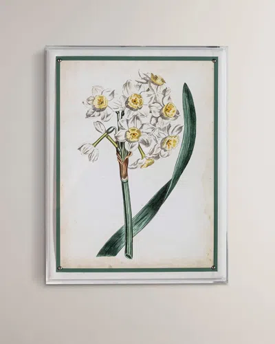 Port 68 Narcissus Iv Giclee Print In Multi