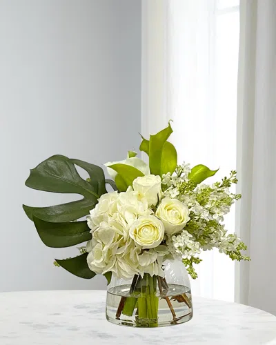 Winward Home Hydrangea Split Philo In Vase In Transparent