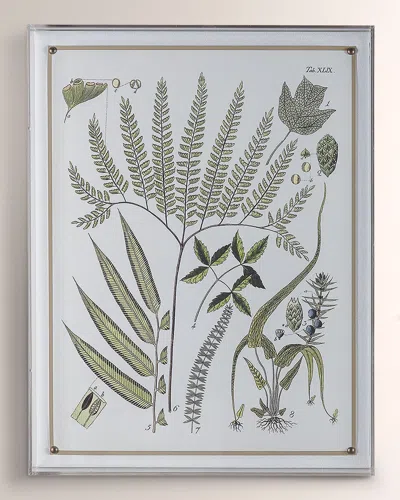 Port 68 Ferns Iii Giclee