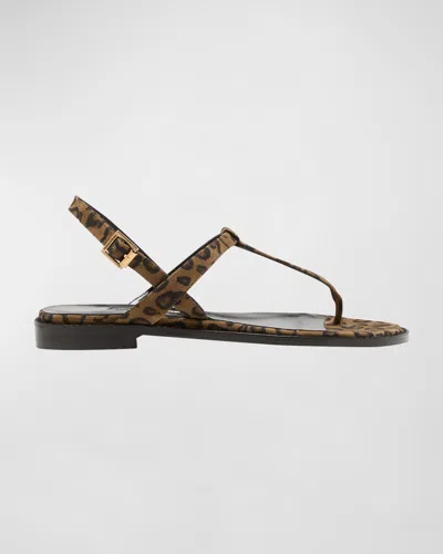 Manolo Blahnik Hata Leopard Thong Slingback Sandals In Multi