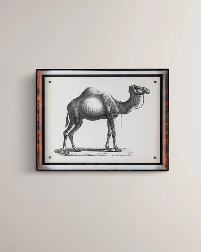 Port 68 Camel Giclee In Multi
