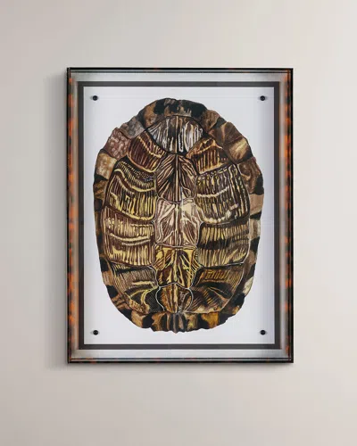 Port 68 Tortoise I Giclee In Brown