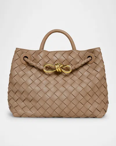 Bottega Veneta Andiamo Small Leather Top-handle Bag In Brown