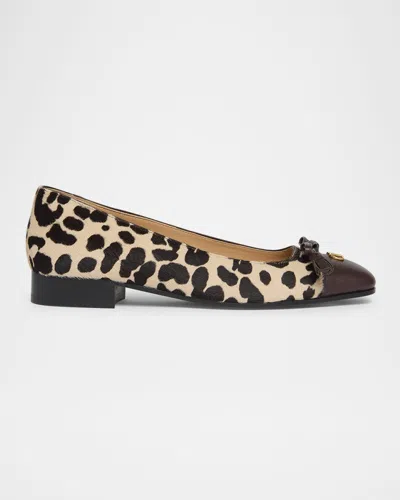 Valentino Garavani Ballerina Leather-trimmed Leopard-print Calf Hair Flats In Multi