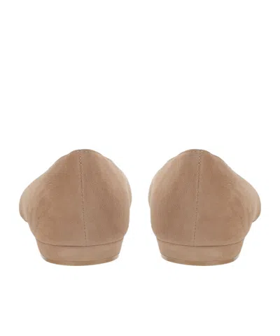 Gianvito Rossi Point-toe Ballet Flats In Brown