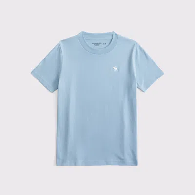Abercrombie & Fitch Essential Icon Crew Tee In Blue