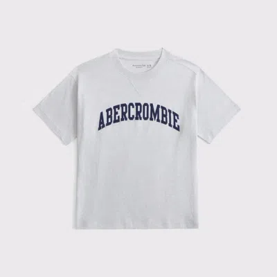 Abercrombie & Fitch Logo Tee In Silver
