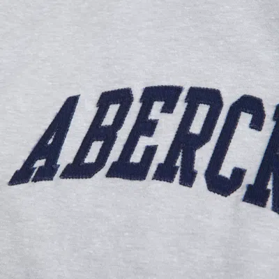 Abercrombie & Fitch Logo Tee In Silver