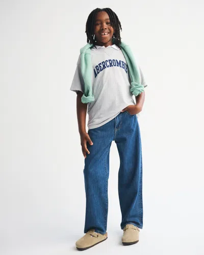 Abercrombie & Fitch Logo Tee In Silver