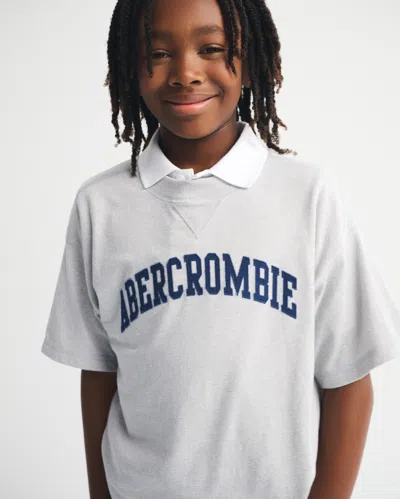 Abercrombie & Fitch Logo Tee In Silver