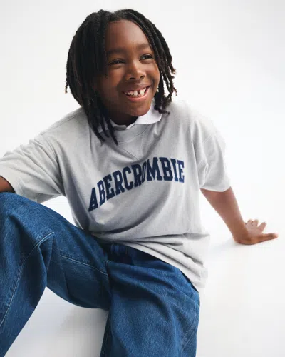 Abercrombie & Fitch Logo Tee In Silver