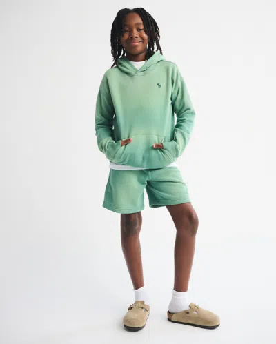 Abercrombie & Fitch Essential Icon Hoodie In Green