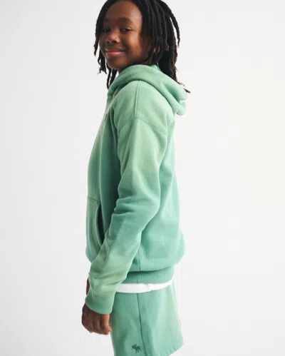 Abercrombie & Fitch Essential Icon Hoodie In Green