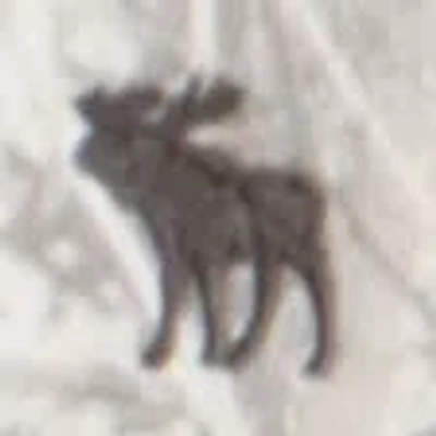 Abercrombie & Fitch Essential Icon Hoodie & Icon Joggers Sweatpants Set In Multi