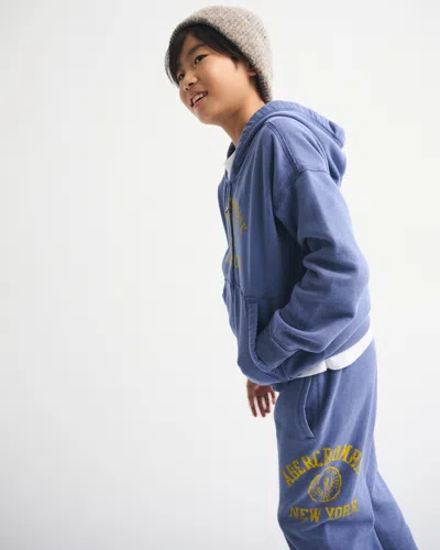 Abercrombie & Fitch Logo Full-zip Hoodie In Blue