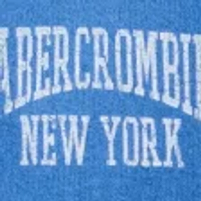 Abercrombie & Fitch Logo Popover Hoodie In Blue