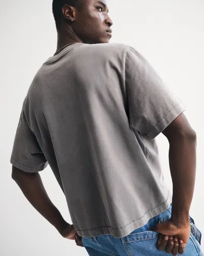 Abercrombie & Fitch Premium Heavyweight Cropped Tee In Gray