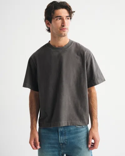 Abercrombie & Fitch Premium Heavyweight Cropped Tee In Gray