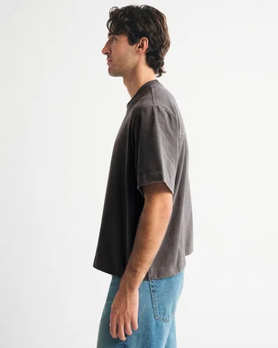 Abercrombie & Fitch Premium Heavyweight Cropped Tee In Gray