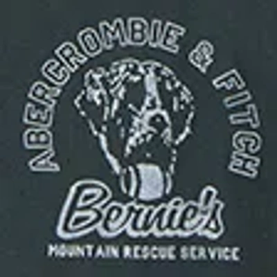 Abercrombie & Fitch Long-sleeve Graphic Logo Tee In Green