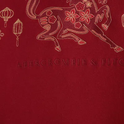 Abercrombie & Fitch Lunar New Year Logo Popover Hoodie In Red