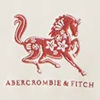 Abercrombie & Fitch Lunar New Year Logo Popover Hoodie In White