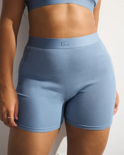 Abercrombie & Fitch Ypb Restore Rib Boxer Short In Blue