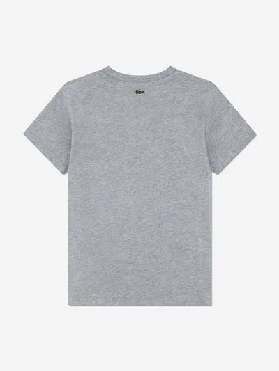 Lacoste Boys Logo T-shirt In Gray