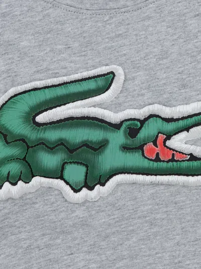 Lacoste Boys Logo T-shirt In Gray
