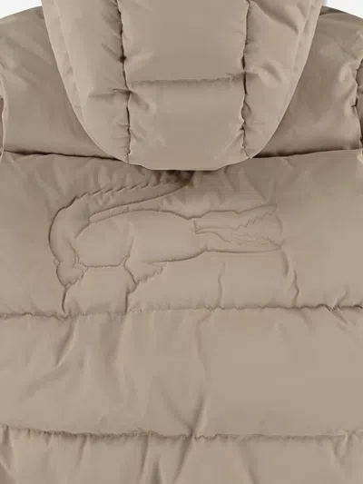 Lacoste Kids Logo Puffer Jacket In Nude