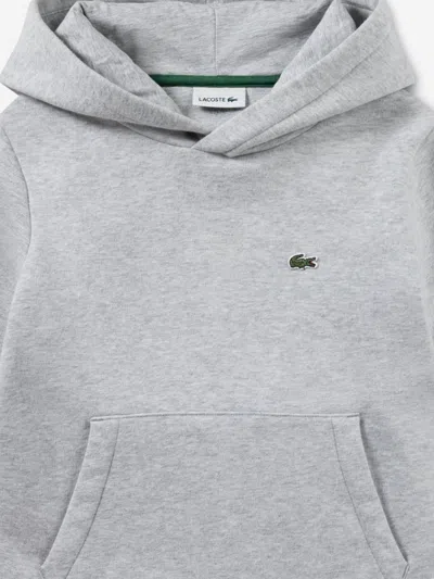 Lacoste Boys Logo Hoodie In Gray