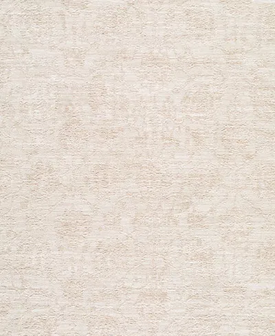 Livabliss Masterpiece Mpc2329 10'x13'11" Area Rug In White