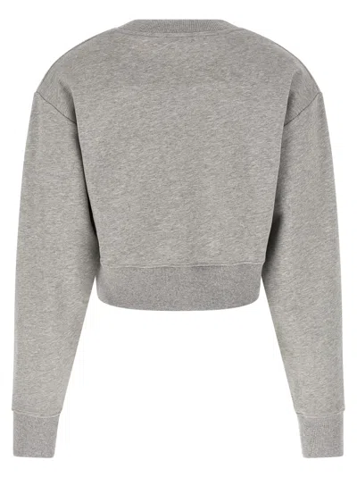 Balmain Paris Sweatshirt Gray In Gray