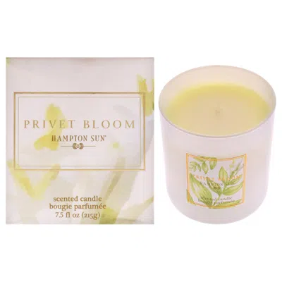 Hampton Sun Privet Bloom Scented Candle By  For Unisex - 7.5 oz Candle In Pink