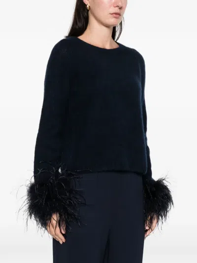 Hemisphere Feather-trim Sweater In Black