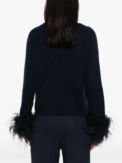 Hemisphere Feather-trim Sweater In Black
